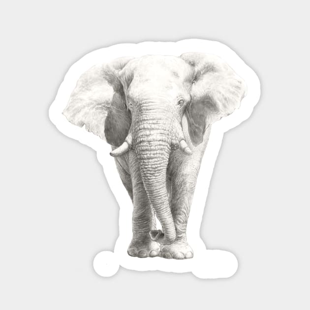 African Elephant - Etosha Elephant watercolour design - by Nadya Neklioudova Sticker by nadyawildlife
